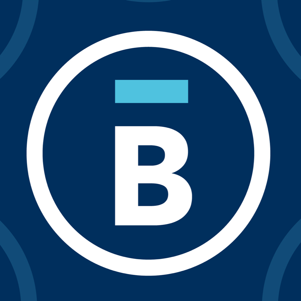 Little_Bremer_Logo1