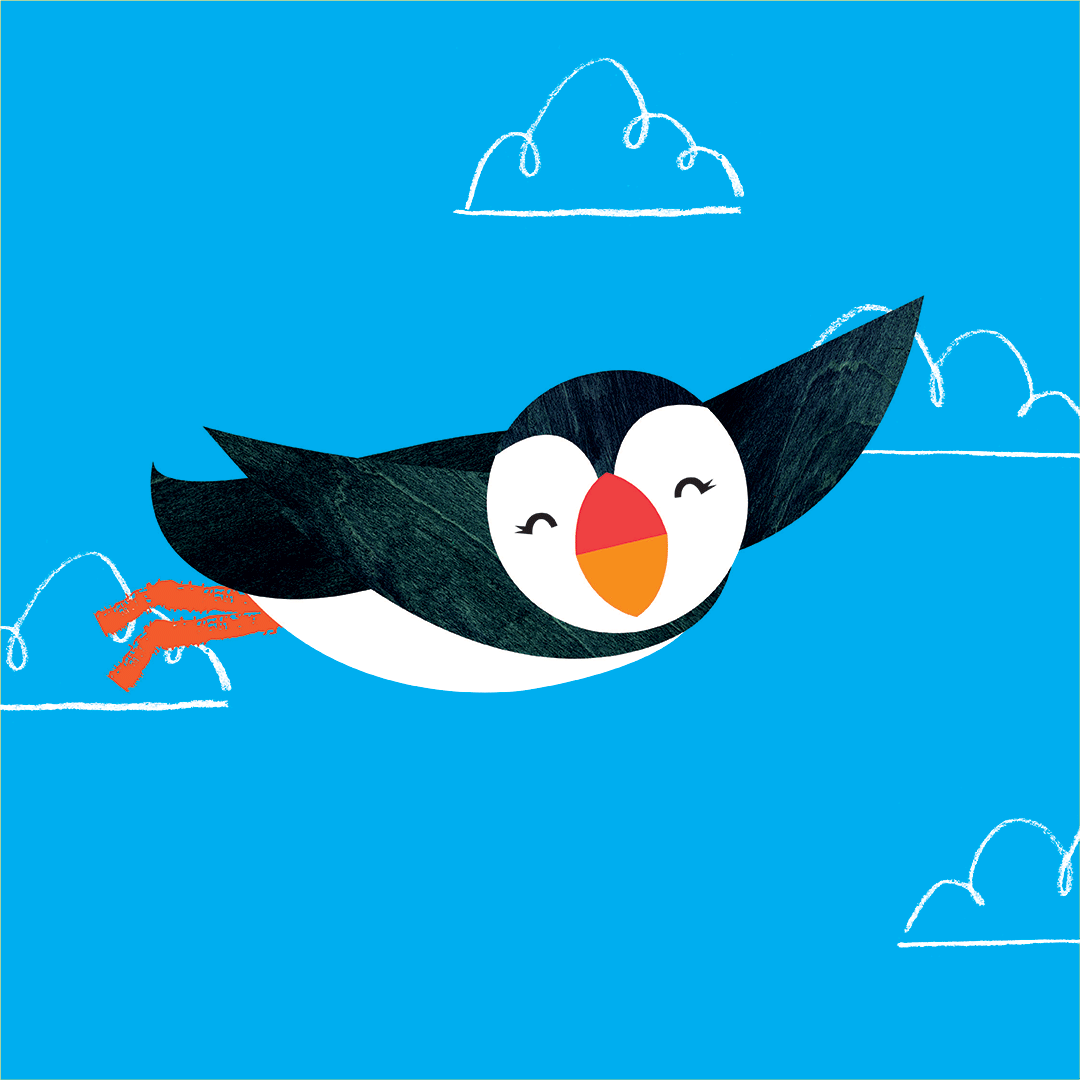 SoaringPuffin