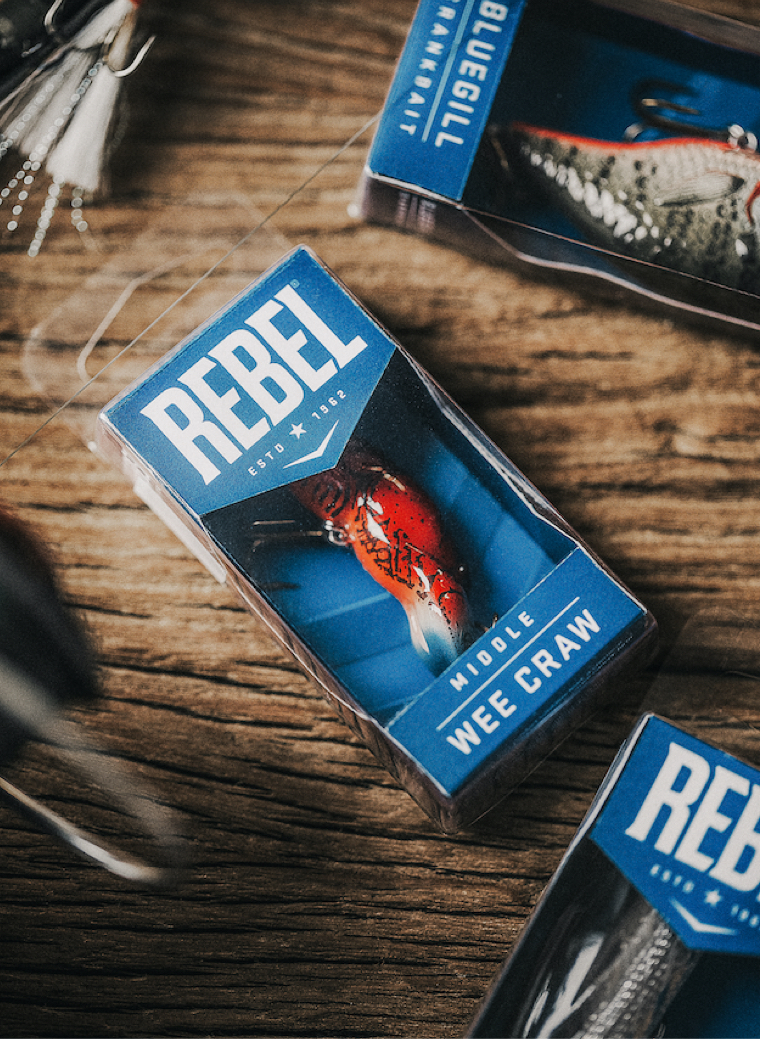 Little_Rebel_3up_2