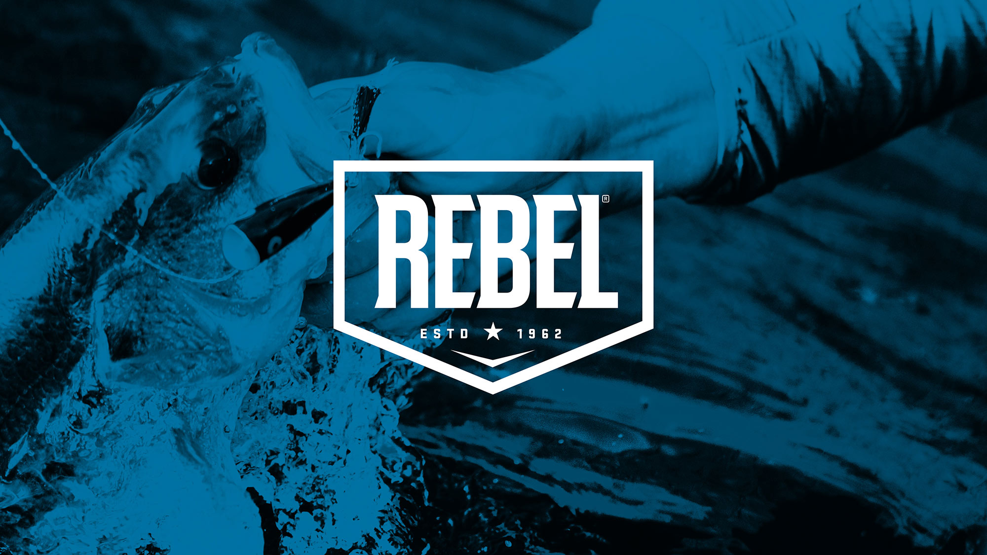 Rebel_CaseStudy_Presentation_v2_2000px