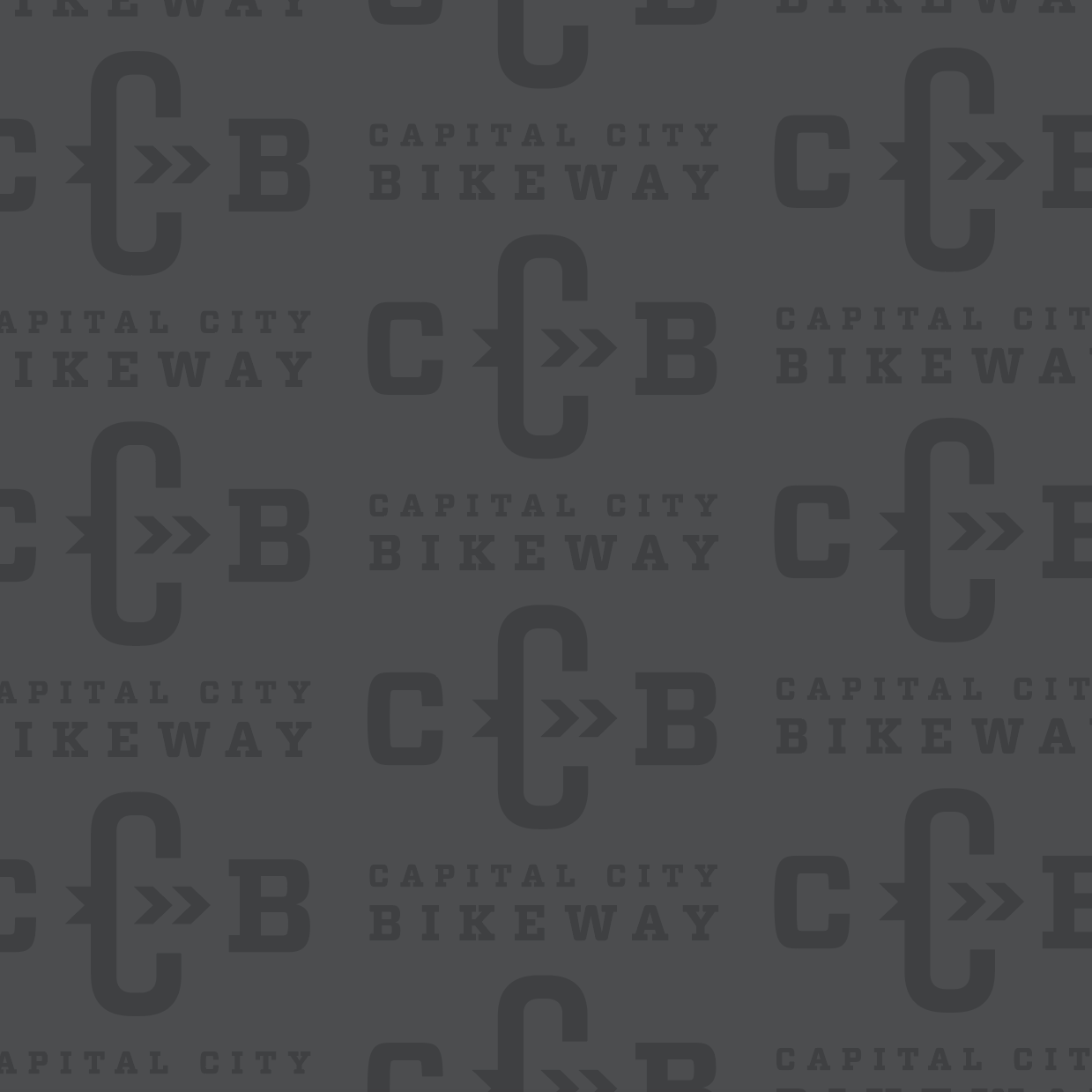 CapitalCityBikeway_Pattern_Gray